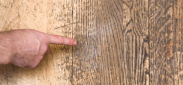 Wood Door Scratch Repair in Duarte